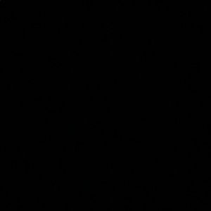 Meet your Posher, Shayna